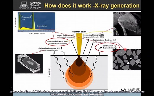 电子探针导论 Introduction to Electron Probe X-Ray Microanalysis (EPMA)