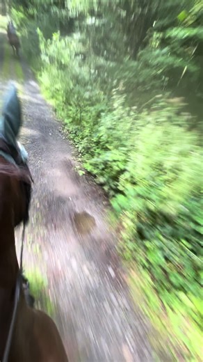 Prime Ponys im Geländeritt 2024