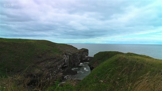 🗣️"Tens of thousands of seabirds could be killed" We showed Countryfile around our reserve at Fowlsheugh and told them about the threat of Berwick Bank. This offshore windfarm could decimate populations of Puffins, Kittiwakes and Guillemots. It shouldn't go ahead. Nature must be at the heart of climate action. Let's scrap Berwick Bank and focus on less damaging offshore wind projects instead. | RSPB Scotland