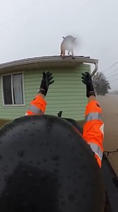 Rescuers Save Dog Stranded on Flooded Roof Riverwood, North Carolina — October 18, 2024 A dramatic rescue unfolded in Riverwood, North Carolina, on Friday morning as heavy flooding from a seasonal storm surged through the residential area. A rescue team patrolling the neighborhood by boat spotted a German Shepherd trapped on the roof of a single-story home, with floodwaters reaching halfway up the siding of the house. In the heart-pounding footage, a first responder in high-visibility gear can b