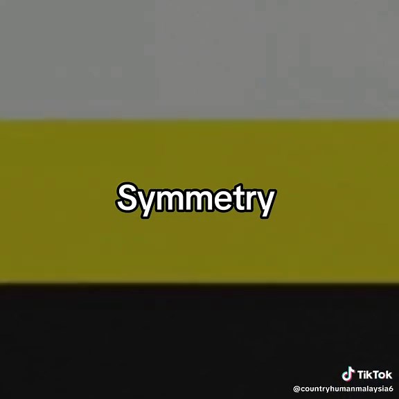 Symmetry#NegeriMalaysia#BenderaNegeri#Symmetry#fyp