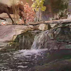 My favorite part of Cabela's #waterfall #womenfishtoo #TeamOutdoors | Women Fish Too