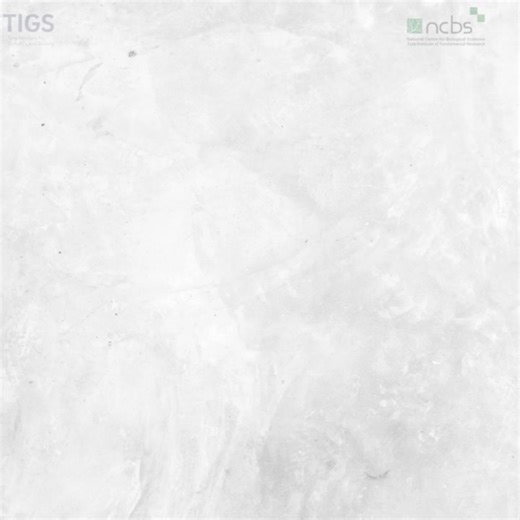 #sustain2026 #sustainableagriculture #cropimprovement #climateresilience #nutrition #agricultureinnovation | Tata Institute for Genetics and Society, India