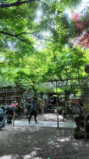 如意輪寺 風鈴まつり 2026｜開催期間・時間・撮影レポート