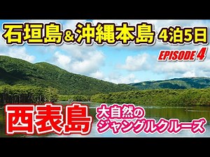 【沖縄旅行④】世界自然遺産・西表島が絶景すぎる！日本最後の秘境で大自然を満喫！石垣島から日帰り離島巡りツアー