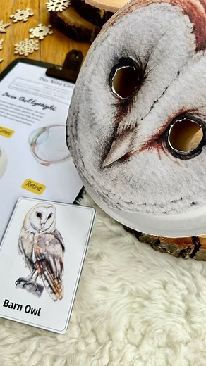 Alyssa Stokes on Instagram: "Barn Owl 🦉 Binocular Mask We really enjoyed crafting this owl mask using a paper plate, toilet paper rolls and a printable from the February winter birds @naturestudy.club unit! This was such a fun and interactive way to learn about owl eye sight and anatomy. The boys made various observations as they looked through the tubes, which simulated how birds’ see."