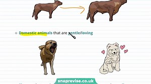 28.Selective Breeding _ 9-1 GCSE Science Biology _ OCR, AQA, Edexcel