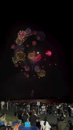 36"inch Japan Giant/huge thousands of flowers display shell #fireworks#pyrotechnics#vuurwerk #pyro
