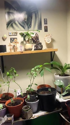 #fyp #philiptattoo #goals