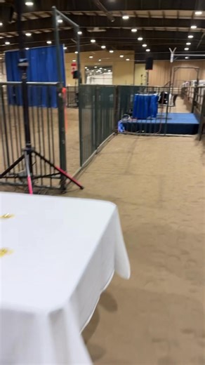 The 2025 Alberta CTHS Sale begins at 3pm today at Westerner Park here in Red Deer… you won’t want to miss it! | Canadian Thoroughbred Horse Society (Alberta Division)