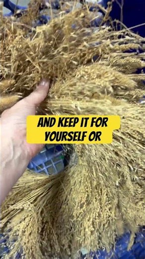 💿 The Secret to Flipping Goodwill Kids DVDs for Profit | Thrift With Me #GoodwillFinds