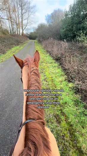Teaching Your Horse Effective Emergency Stops
