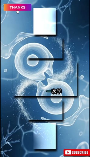 How Sperm Is Produced | 3D Inside-Body Animation #men 精子形成过程｜3D 动画