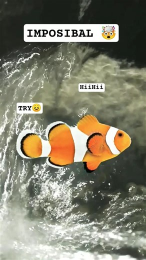 #cosplayer #tutorial