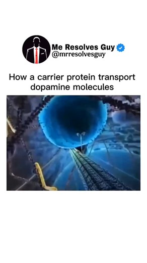 Mr.resolves.guy | Here’s how a carrier protein transports dopamine molecules. 🧠⚙️ These molecular machines move signals across neurons — powering emotions,... | Instagram