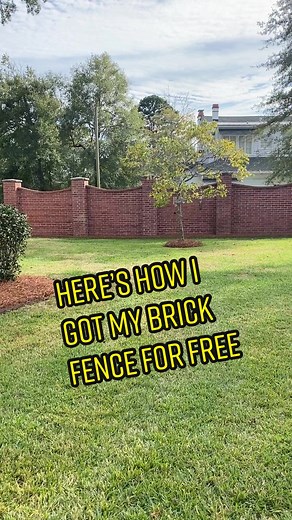 Sara McDaniel on TikTok