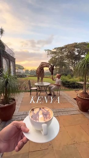 Indeed kenya east africa is such a beautiful place to consider while on your african adventure safari For inquiries and bookings Www.jinjatoursandsafaris.com Email 📧 Jinjatoursandsafaris@gmail.com Whatsup/ calls 256779849930 #viralreels #africa #kenya #everyone #uganda #following #explore #tourist #viralreels #following #viralvideos #follow4like #followme #followforfollowback #followforfollowback #likeforlikes | Java Tourguide Uganda Safaris