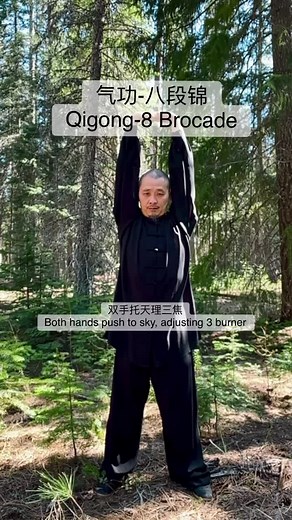 QiGong 8 Brocade Classes for Health and Balance