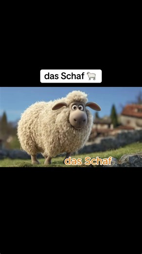 Learning German Animals for Kids: Die Kuh and Das Schaf