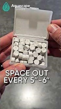 AquascapeGuide - Adding Root Tabs To The Iwagumi