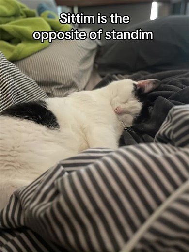 Sittim is the opposite of standim