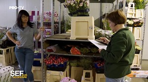 606K views · 9.5K reactions | Șef sub acoperire 2023 | Ioana Molnar,...