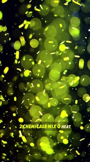 This Bug Makes Light From Its Body (Scientists Are Confused)