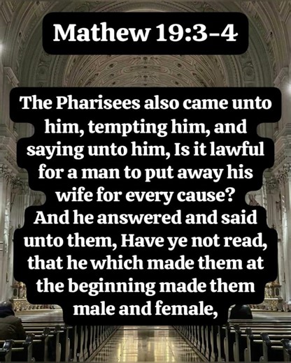 "Daily Dose of Inspiration: Uplifting Bible Verses to Illuminate Your Journey" in Christ