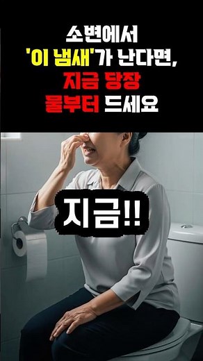 소변에서 '이 냄새' 나면? 지금 당장 물부터 드세요 🚨 #소변냄새 #건강상식 #건강신호