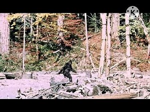 Bigfoot Custom Sound Effects