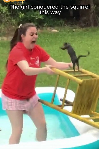 The girl rescued a squirrel and then #rescue #animal #animalsoftiktok #rescueanimals #squirrel #rescuesquirrel