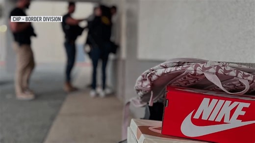 California cracks down on holiday retail crime. A San Diego operation led to 23 arrests