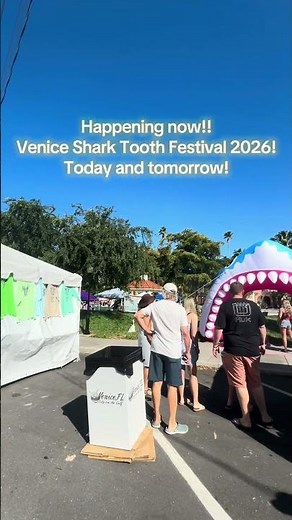 🦈 The Venice Shark Tooth Festival is happening THIS WEEKEND! #Venicefl #sharktoothcapital #shorts