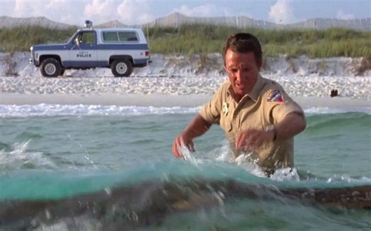 Shark Attack Crisis: A Small Town's Struggle Unfolds