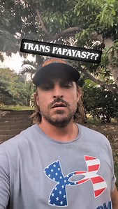 25 reactions · 4 comments | Experiment to convert my male papaya into a fruit bearing hermaphrodite papaya. #papayas #transition | Survival Gardener | Facebook