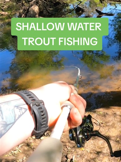 Trout Fishing Tactics for Flooded Rivers