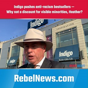 3.5K views · 62 reactions | Indigo is showcasing anti-racism books in its stores. David Menzies issues a challenge to owner Heather Reisman: Why not offer a 50% discount to visible minority customers instead? Read more: https://bit.ly/30dZtQi | Rebel News | Facebook