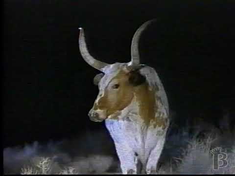 Miller Lite Talking Cow Beer Commercial 1997