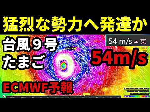 [Developing into a Fierce Storm at 54m/s] Latest Forecast on the Formation and Path of the Next T...