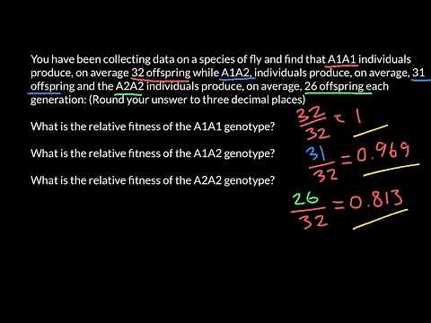 How to Calculate Relative Fitness?