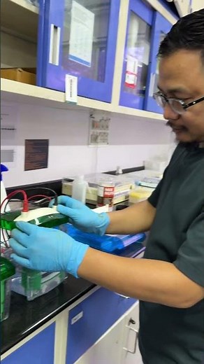 Ever wondered how scientists separate proteins. SDS-PAGE