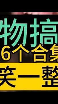 动物搞笑爆笑16个合集，能笑一整天。大猩猩，猫猫，喵喵，狗狗，天鹅，鳄鱼，哈士奇二哈，松鼠，牛，袋鼠，海豚，金龙鱼，金蝉。动物笑话大全爆笑 ，搞笑配音，搞笑视频。Animal funny