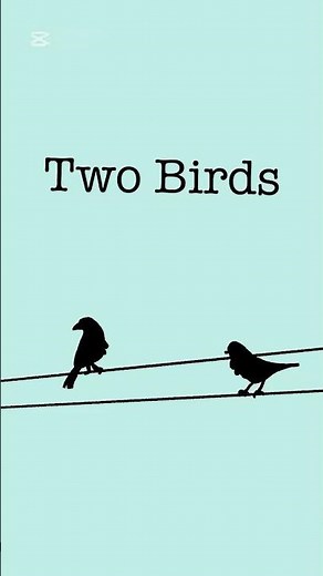 Two Birds On A Wire/ Story Animation