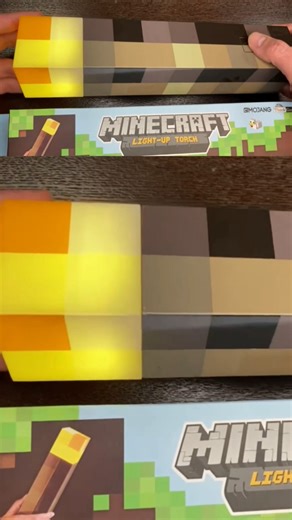 Why Minecraft's Torch Mechanics Are Genius #shorts