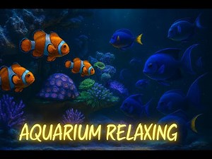5 Hours Relaxing Reef Aquarium with Clownfish | Water Sounds, No Music, Sleep & Study (No Loop)