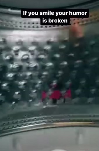 #brokenhumour #freebird #memes #memestiktok #fyp