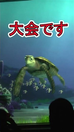 Will Crush participate in the Olympics? [Turtle Talk] Tokyo DisneySea
