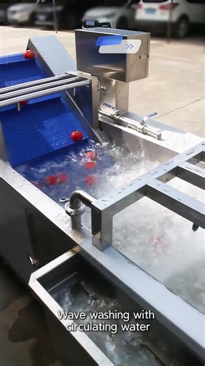 Tomato Bubble Washing Machine | KT-WB400A Industrial Vegetable Washer