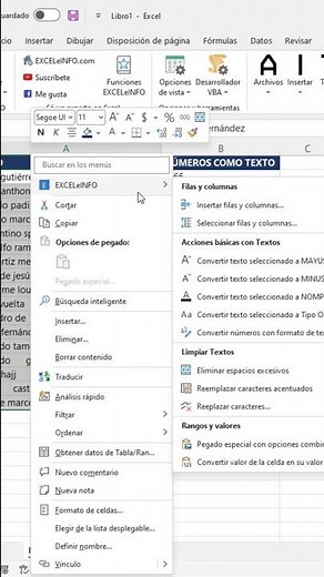 Word Processing | EXCELeINFO add-in PART 3