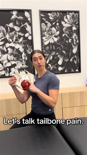 Rachel Chirichella PT, DPT, CSCS | Got tailbone pain? Let’s get to the bottom of it. That little bone at the end of your spine, the tailbone or coccyx, you might hear it as... | Instagram